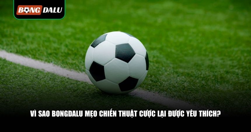 Bongdalu mẹo chiến thuật cược lại được yêu thích