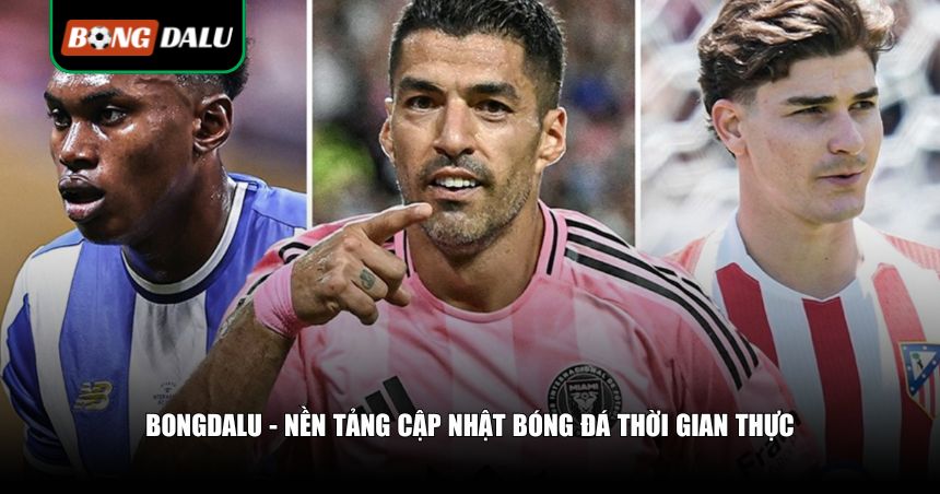 Nền tảng nhận định hàng đầu