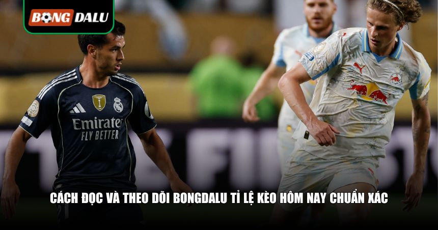 Cách đọc và theo dõi bongdalu tỉ lệ kèo hôm nay
