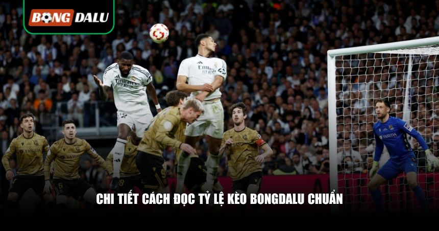 Chi tiết cách đọc tỷ lệ kèo Bongdalu chuẩn