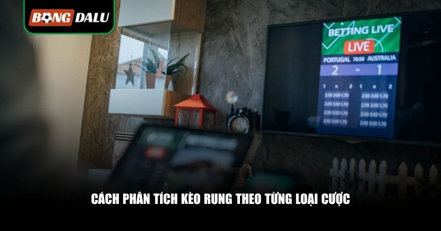 Cách phân tích kèo rung theo từng loại cược