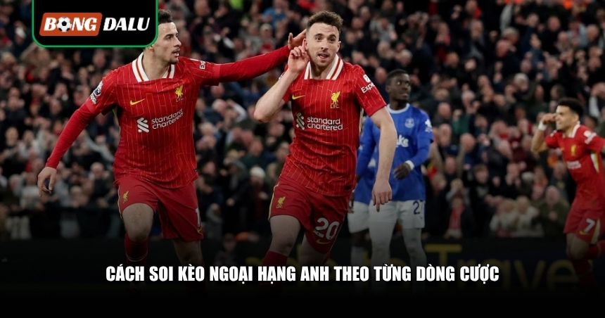 Cách soi kèo Ngoại hạng Anh theo từng dòng cược