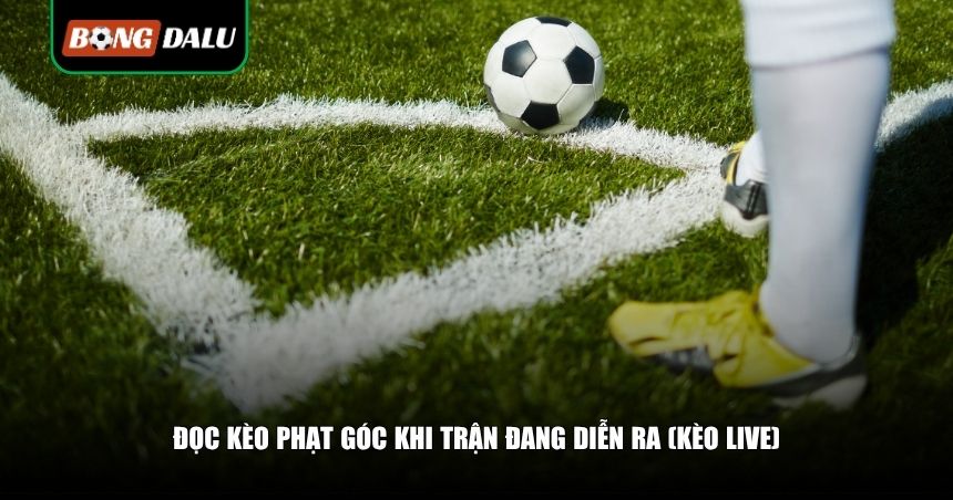 Đọc kèo phạt góc khi trận đang diễn ra (kèo live)