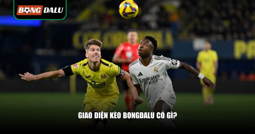 Giao diện kèo Bongdalu hấp dẫn