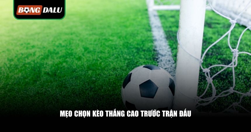 Mẹo chọn kèo thắng cao trước trận đấu