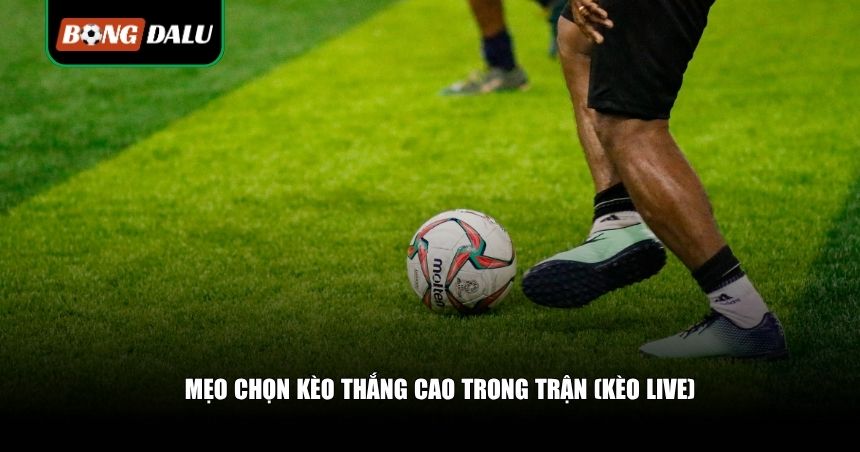 Mẹo chọn kèo thắng cao trong trận