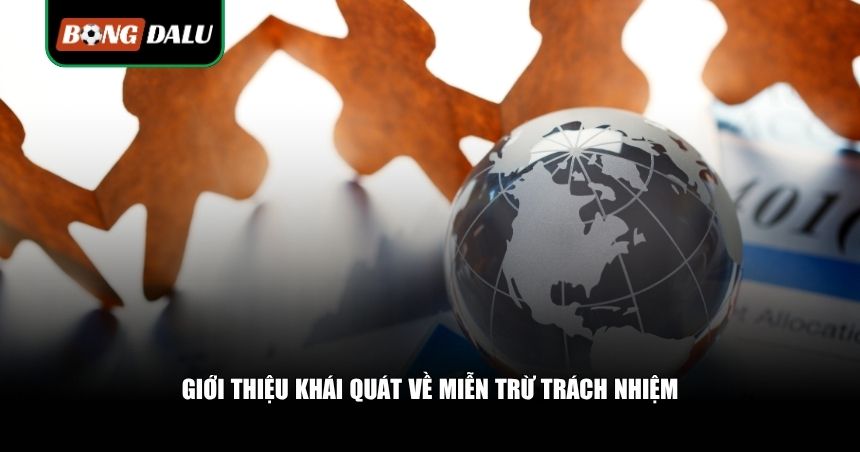 Chính sách miễn trừ trách nhiệm là gì?