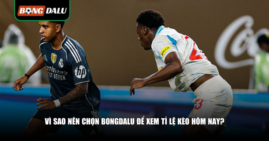 Nên chọn Bongdalu để xem tỉ lệ kèo hôm nay