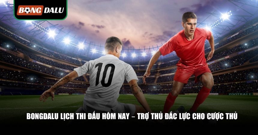 Trợ thủ đắc lực cho cược thủ