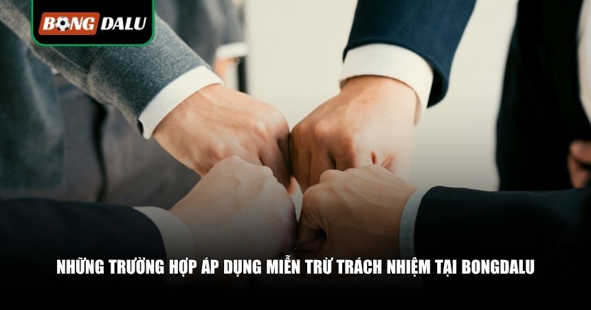 Khi nào thì bongdalu được áp dụng miễn trừ trách nhiệm?