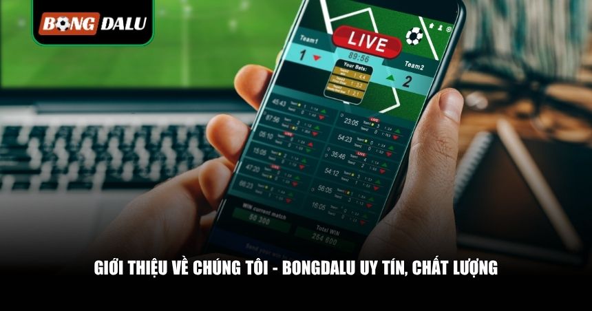 Đôi nét giới thiệu tổng quan về chúng tôi - sân chơi Bongdalu